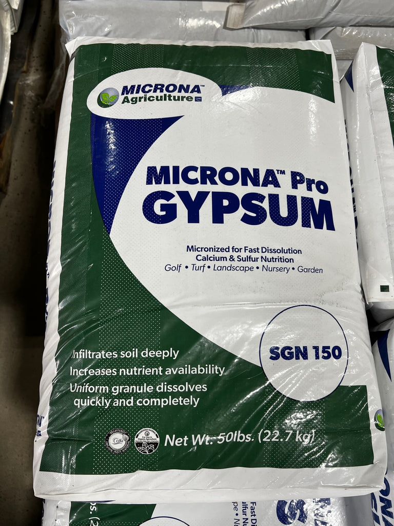 Gypsum