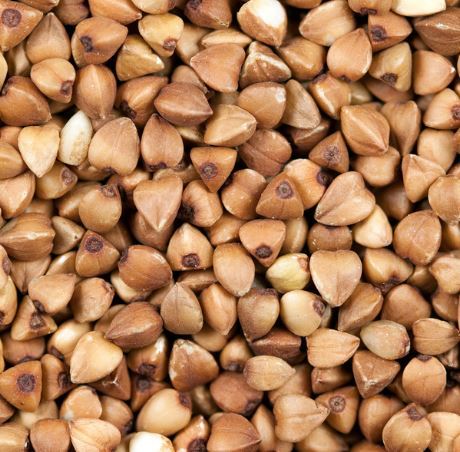 Buckwheat (organic)  50 lb