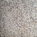 Oats (organic)  50 lb